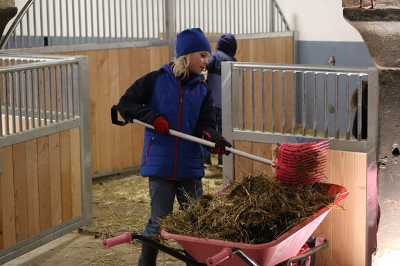 Kinder beim arbeiten im Stall Kinder beim arbeiten im Stall