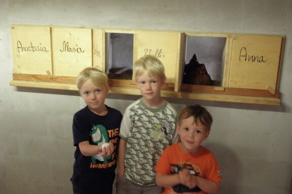 Kinder beim Eier holen Kinder beim Eier holen