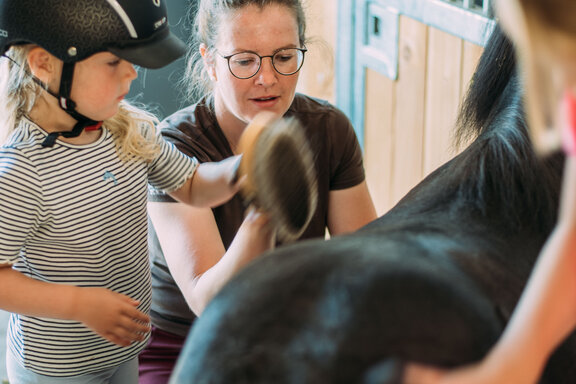 Pony putzen Pony putzen